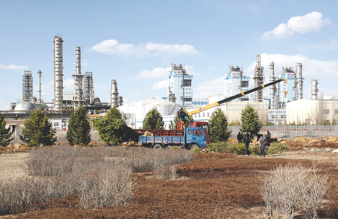 蜜梨直播APP界面展示